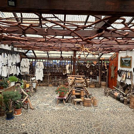 Casa Vlad Ξενοδοχείο Haţeg Εξωτερικό φωτογραφία