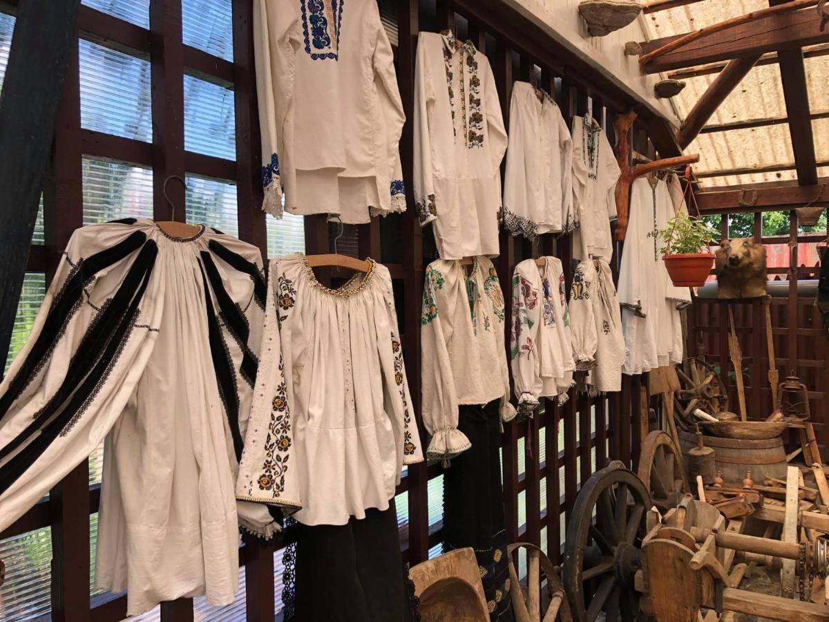 Casa Vlad Ξενοδοχείο Haţeg Εξωτερικό φωτογραφία