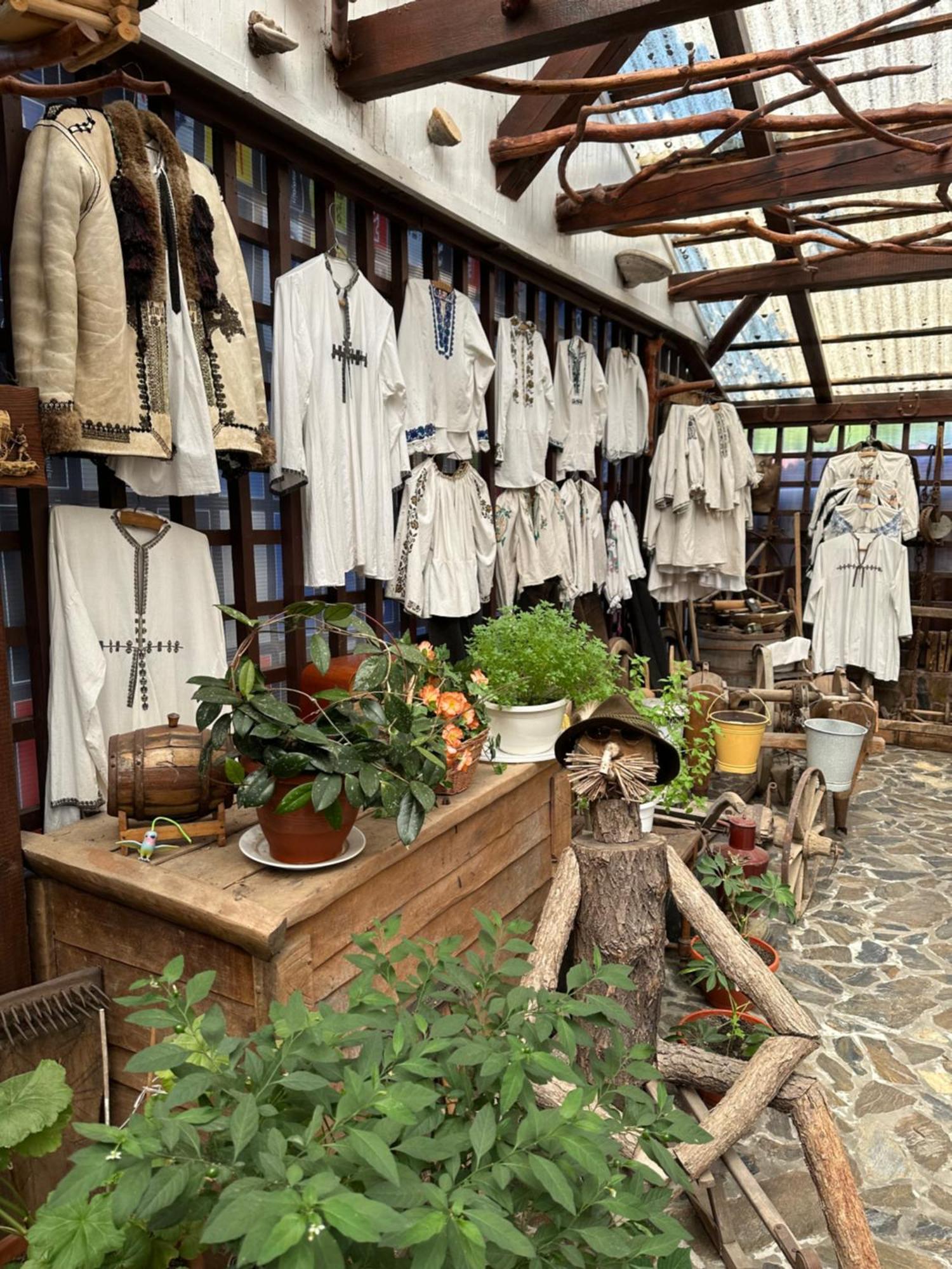 Casa Vlad Ξενοδοχείο Haţeg Εξωτερικό φωτογραφία