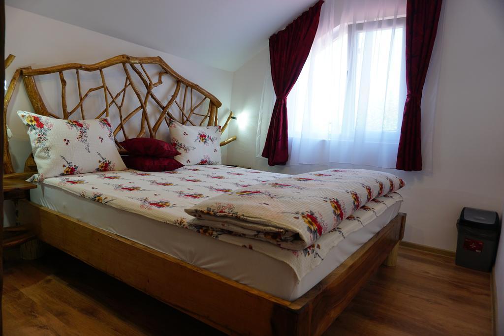 Casa Vlad Ξενοδοχείο Haţeg Εξωτερικό φωτογραφία