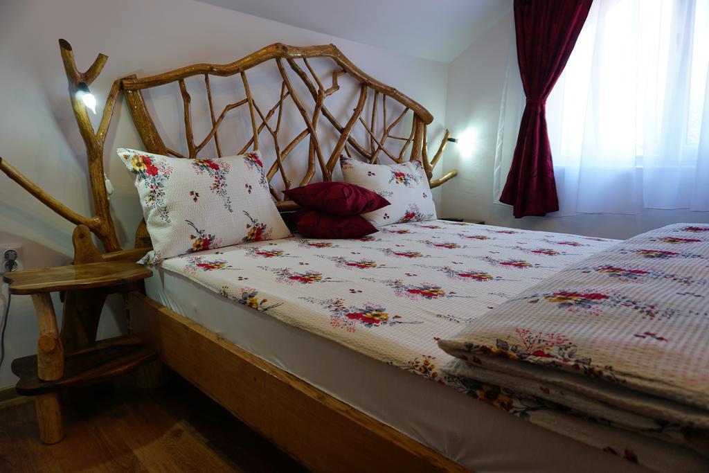 Casa Vlad Ξενοδοχείο Haţeg Εξωτερικό φωτογραφία